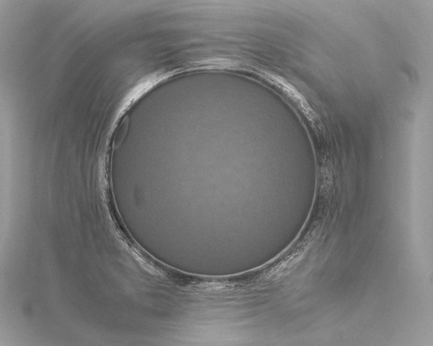 X0000115541373200911201731