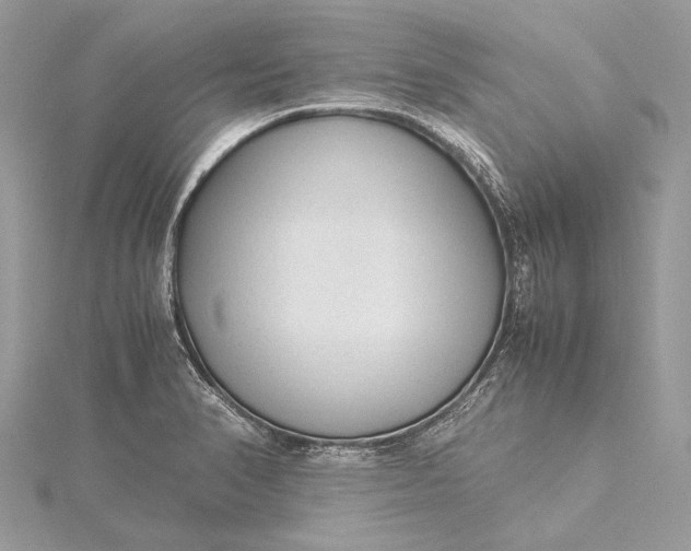 X0000115541374200911201731