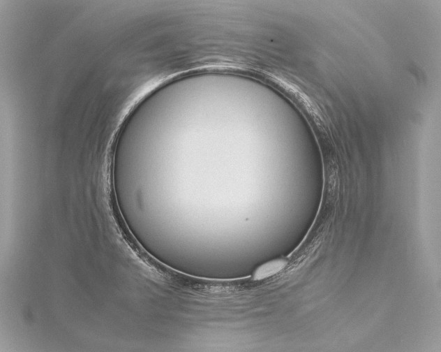 X0000115541375200911201731