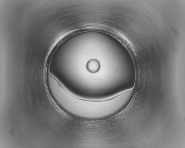 X0000115541376200911201731