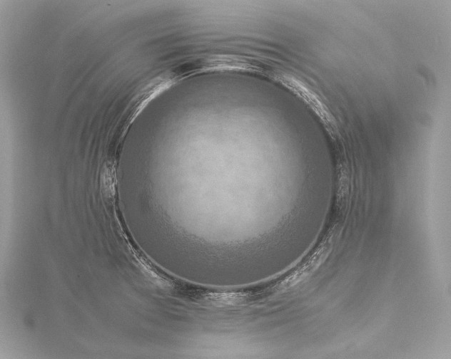 X0000115541377200911201731