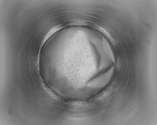 X0000115541378200911201731