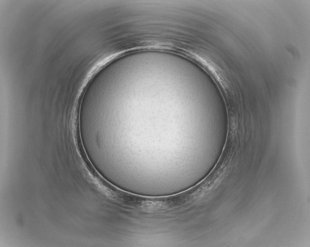 X0000115541379200911201731