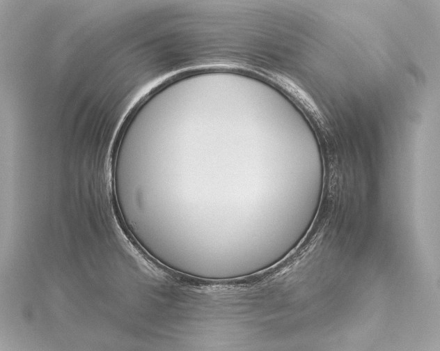 X0000115541380200911201731