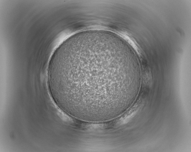 X0000115541381200911201731