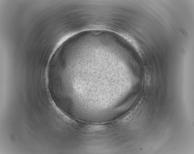 X0000115541382200911201731