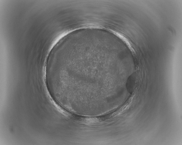 X0000115541383200911201731