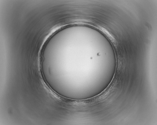 X0000115541384200911201731