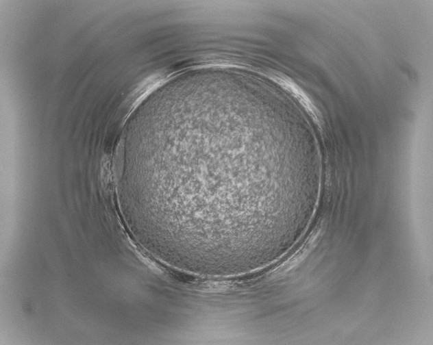 X0000115541385200911201731