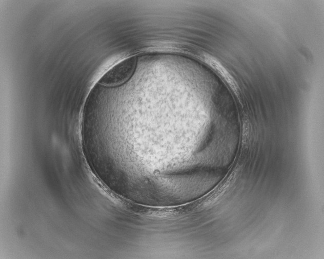 X0000115541386200911201731