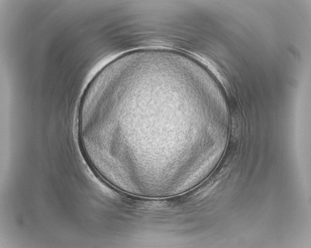 X0000115541387200911201731