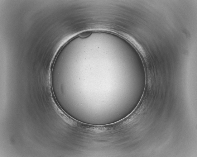 X0000115541388200911201731