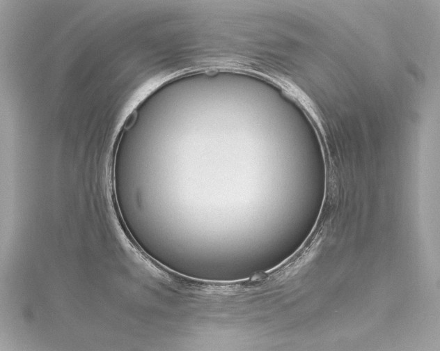 X0000115541389200911201731