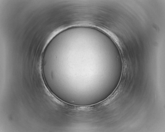 X0000115541390200911201731