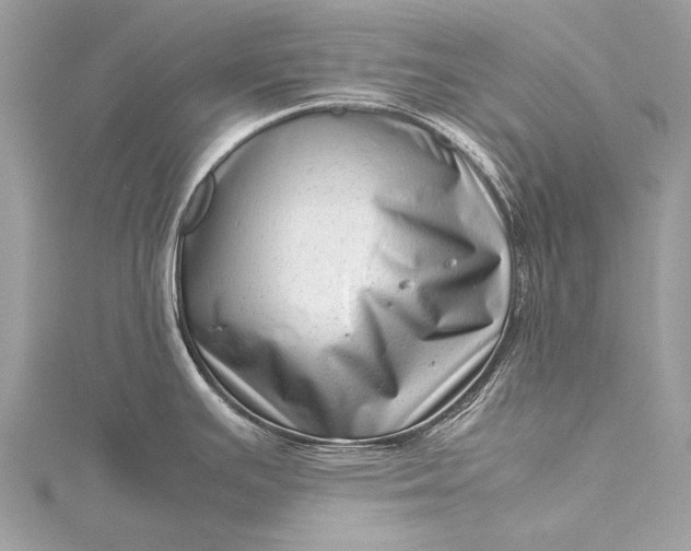 X0000115541391200911201731