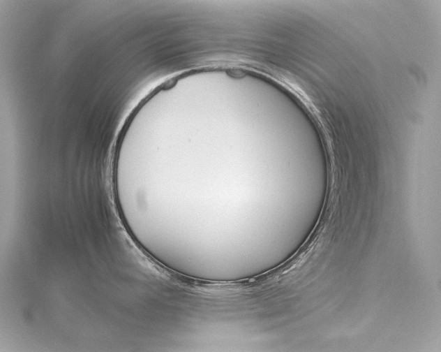 X0000115541392200911201731