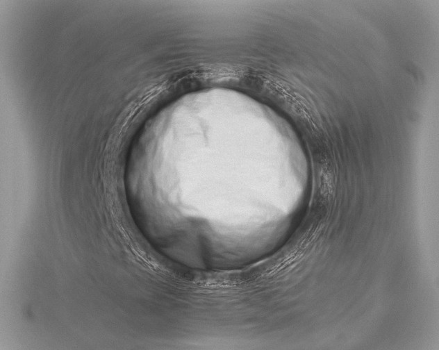 X0000115541393200911201730