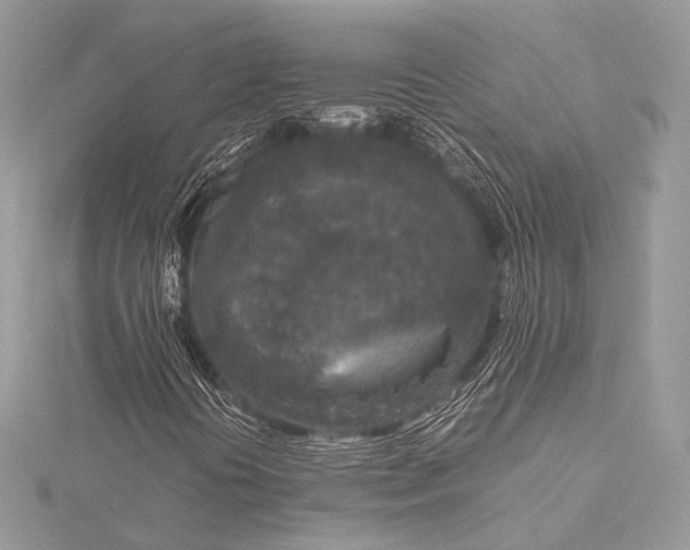 X0000115541394200911201730