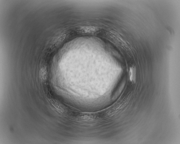 X0000115541395200911201730