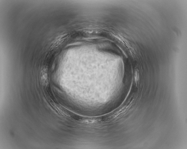 X0000115541396200911201730