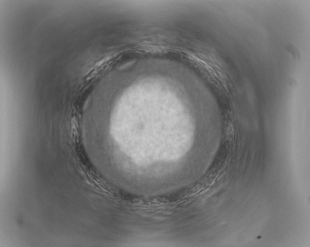 X0000115541397200911201730