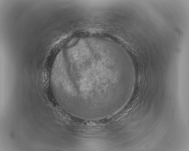 X0000115541398200911201730