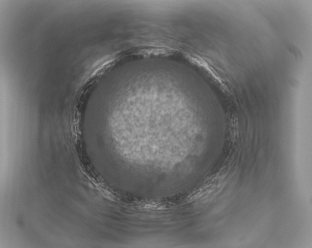 X0000115541399200911201730