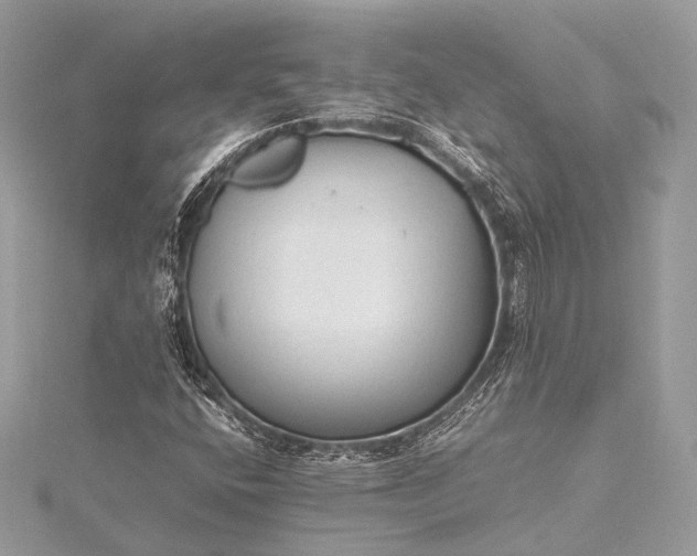 X0000115541400200911201730