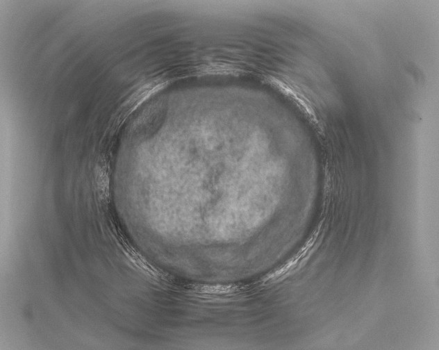 X0000115541401200911201730