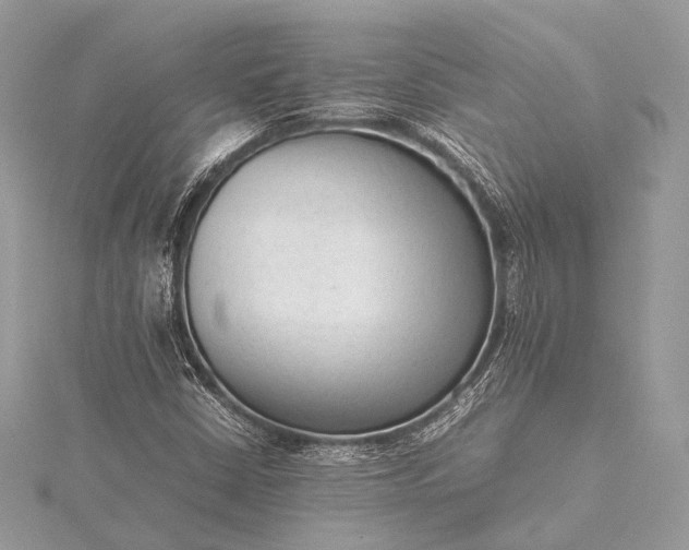 X0000115541402200911201730