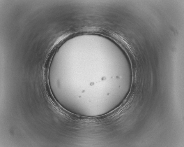 X0000115541404200911201730