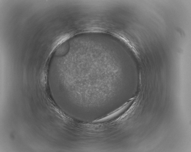 X0000115541405200911201730