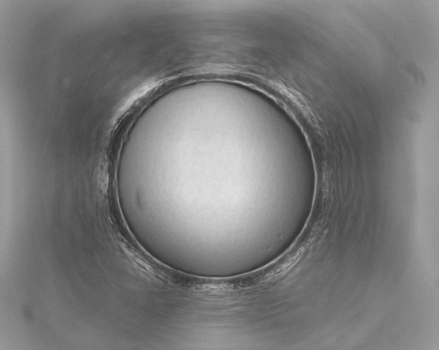 X0000115541406200911201730