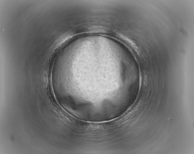 X0000115541407200911201730