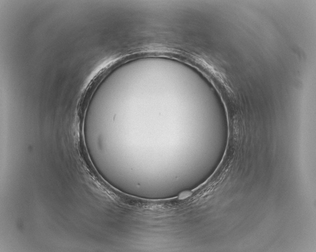 X0000115541408200911201730