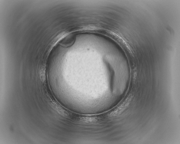 X0000115541409200911201730