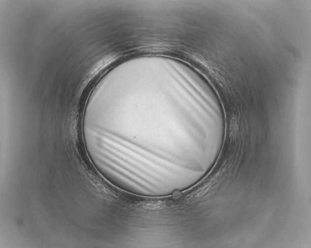 X0000115541410200911201730