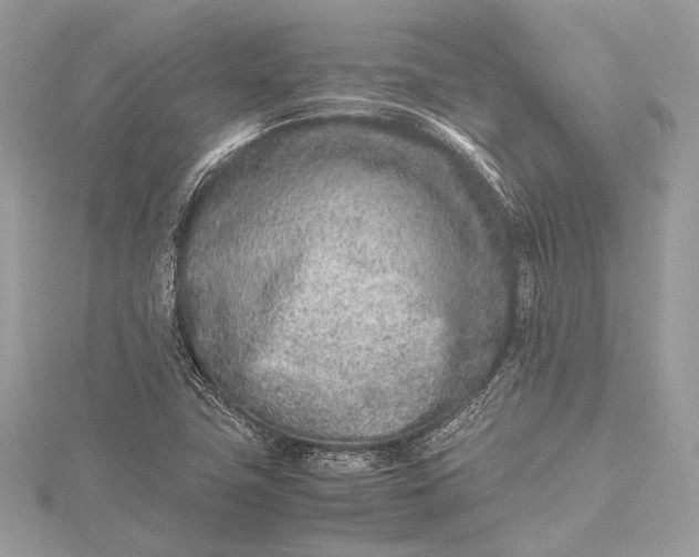 X0000115541411200911201730