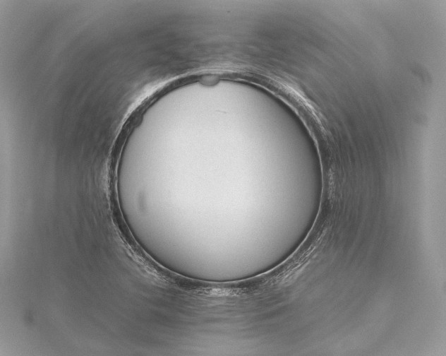 X0000115541412200911201730