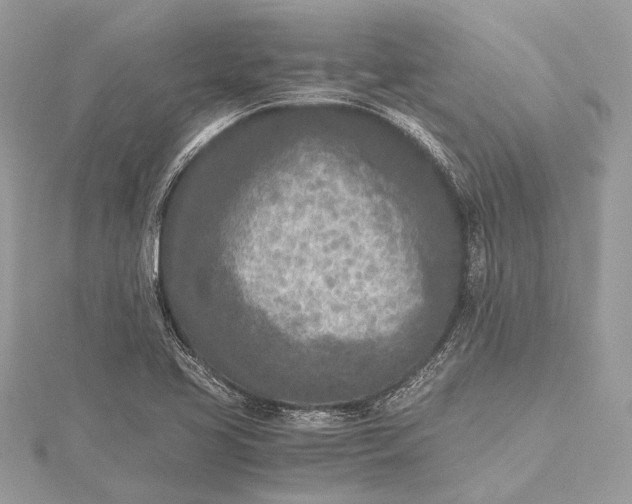 X0000115541413200911201730