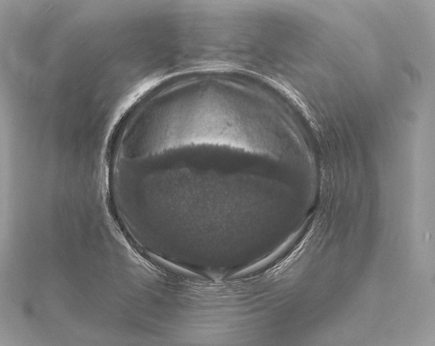 X0000115541414200911201730