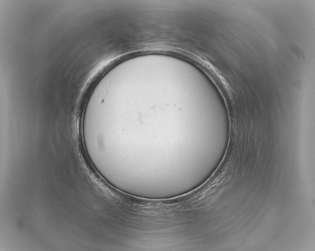 X0000115541416200911201730