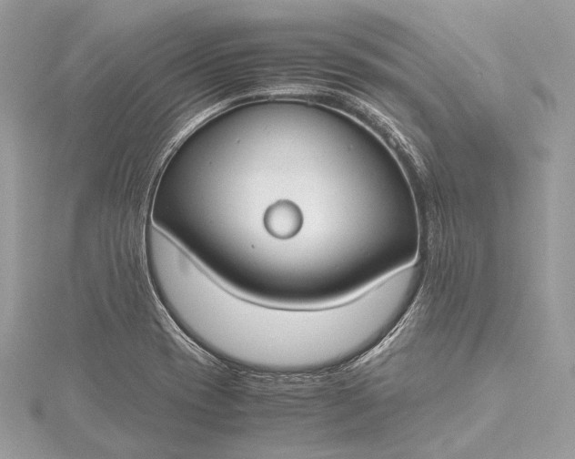 X0000115541417200911201730