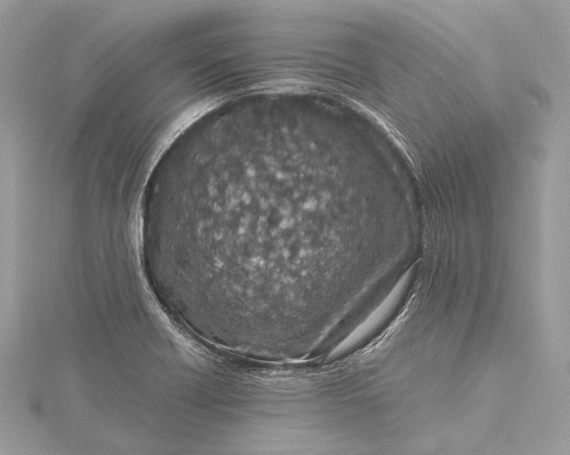 X0000115541418200911201730