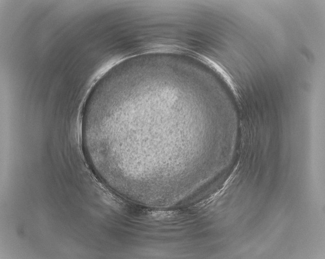 X0000115541419200911201730