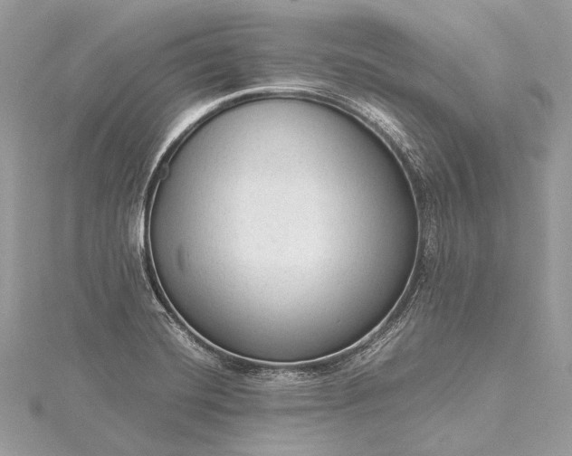 X0000115541420200911201730