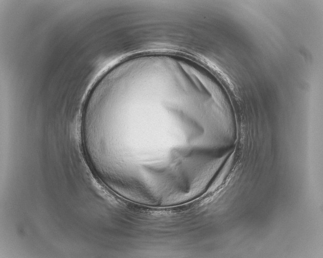 X0000115541421200911201730