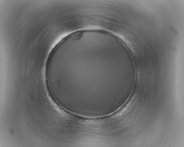 X0000115541422200911201730