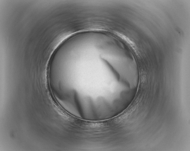 X0000115541423200911201730