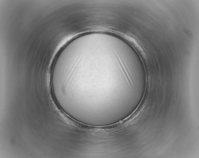 X0000115541424200911201730